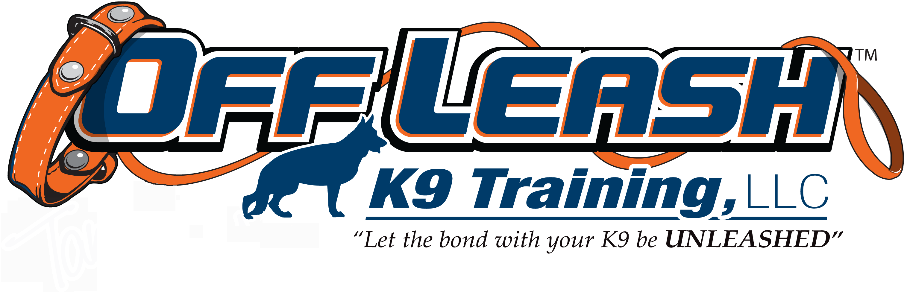 Katy Texas Offleash K9 Dog Training
